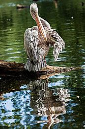 《Apex英雄》差评轰炸还未停歇 Steam在线降至2022年1月低点